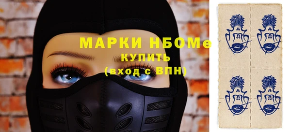 СК Ельня