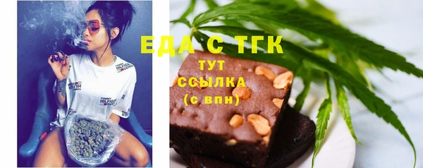 СК Ельня