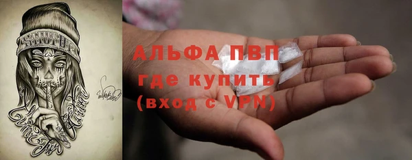 стаф Елабуга