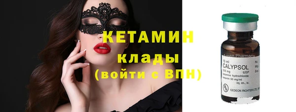 СК Ельня