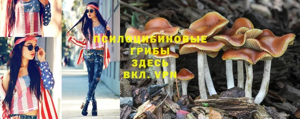 стаф Елабуга