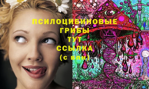 СК Ельня