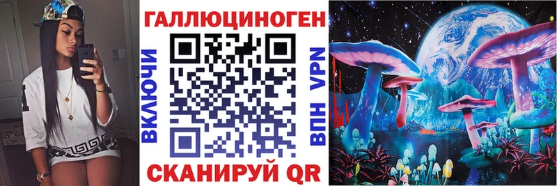 Псилоцибиновые грибы Psilocybe  как найти   кракен ONION  Зея 
